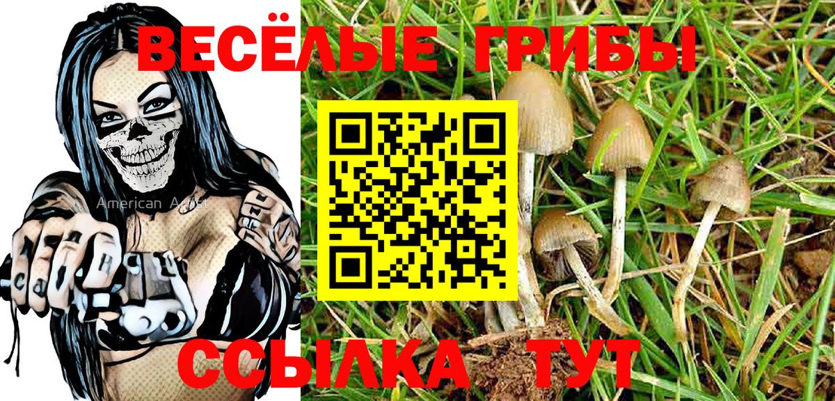 купить закладку  Галлюциногенные грибы Cubensis  Вход с VPN  Димитровград 