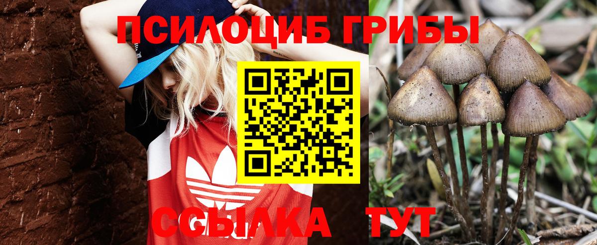 Галлюциногенные грибы мухоморы Димитровград